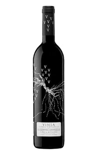 Museum Vinea Crianza Cigales